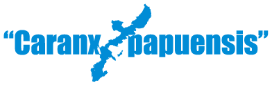 Caranx papuensis